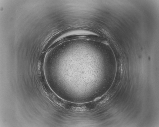 X0000056330548200509092331