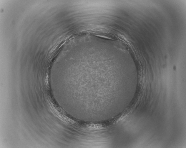 X0000056330549200509092331