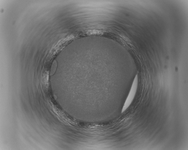 X0000056330550200509092331