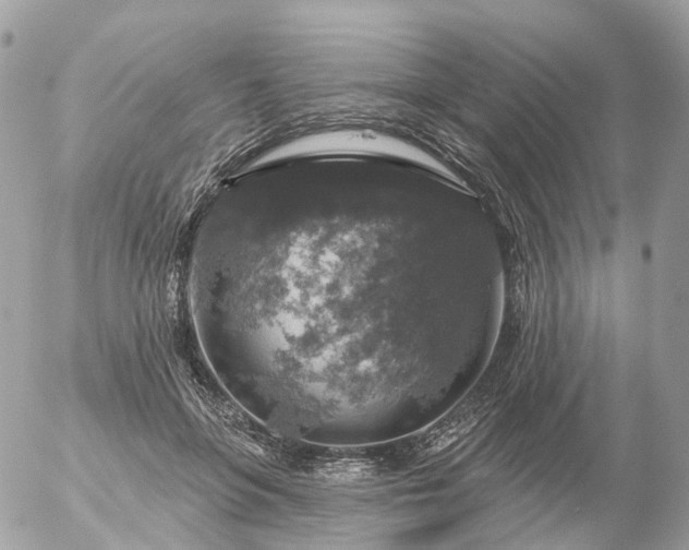 X0000056330551200509092331