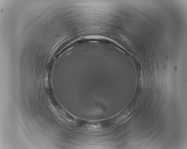 X0000056330552200509092331