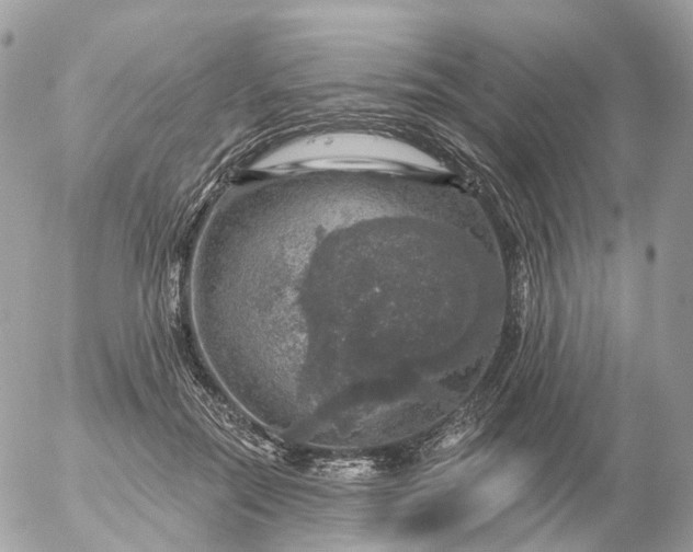 X0000056330554200509092331