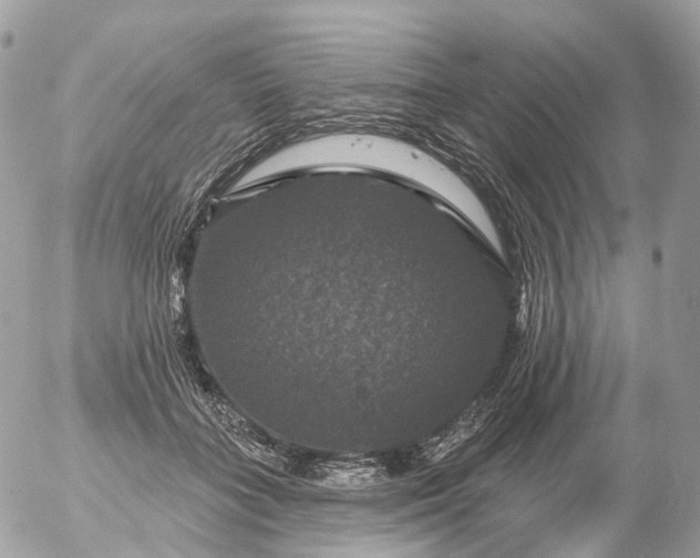 X0000056330555200509092331