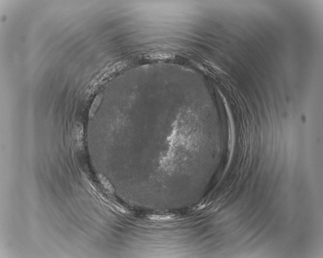 X0000056330556200509092331