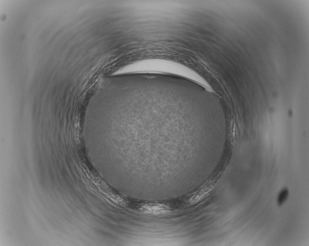 X0000056330557200509092331