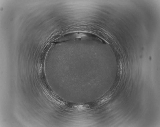 X0000056330558200509092331