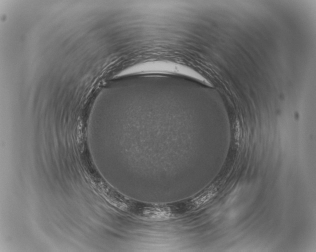 X0000056330559200509092331