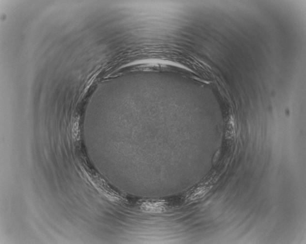 X0000056330560200509092331