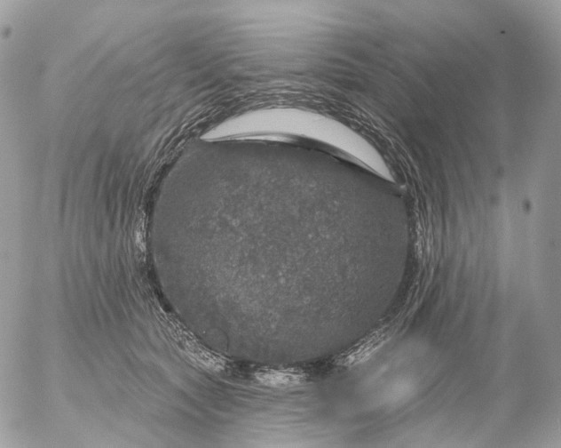 X0000056330561200509092331