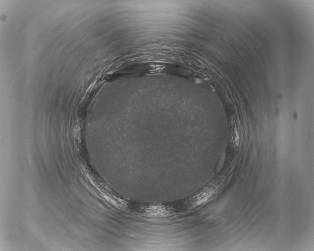 X0000056330562200509092331