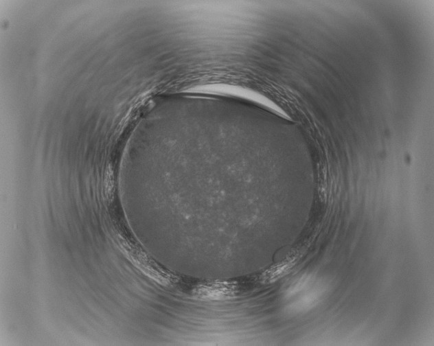 X0000056330563200509092331