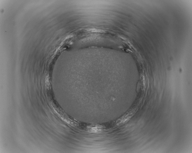 X0000056330564200509092331