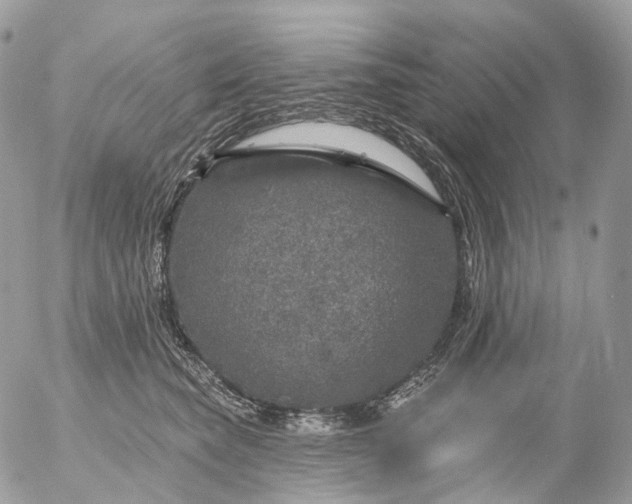 X0000056330565200509092331