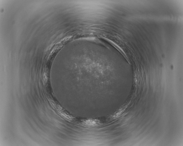 X0000056330566200509092331