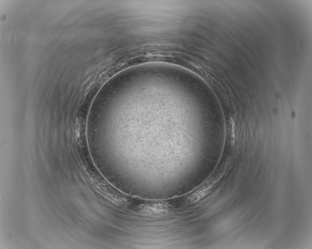 X0000056330567200509092331