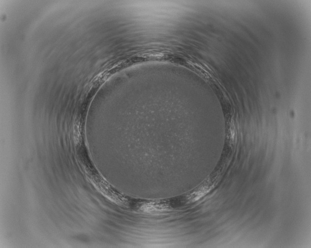 X0000056330568200509092331