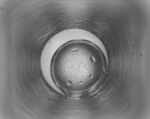 X0000056330570200509092331