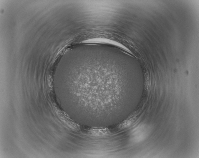 X0000056330571200509092331