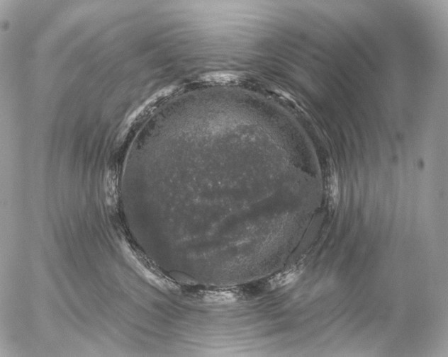 X0000056330572200509092331