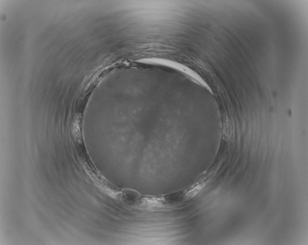 X0000056330573200509092331