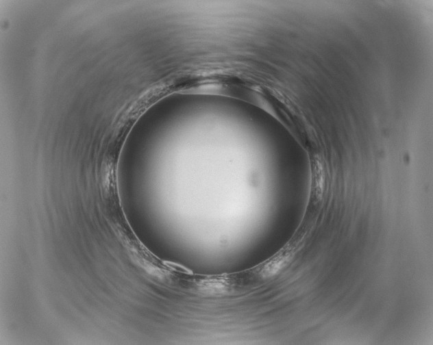 X0000056330574200509092331