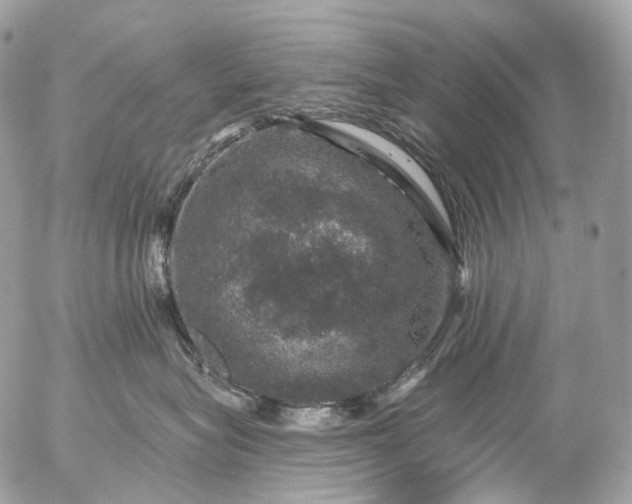 X0000056330575200509092331