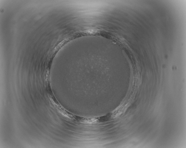 X0000056330576200509092331