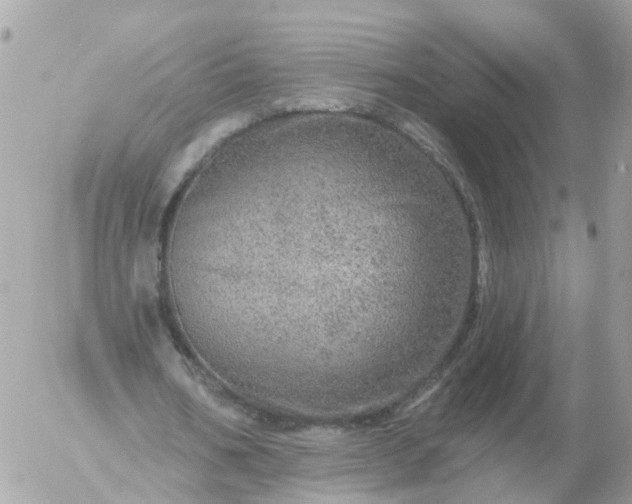 X0000056330578200509092330