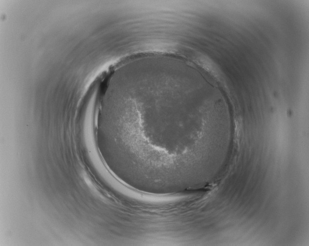 X0000056330580200509092330