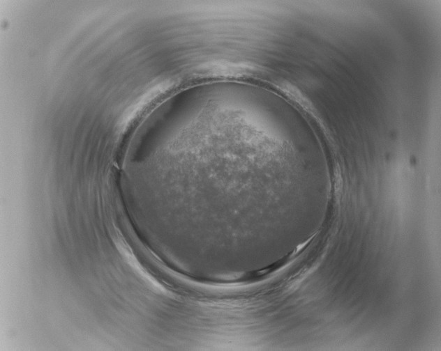 X0000056330581200509092330