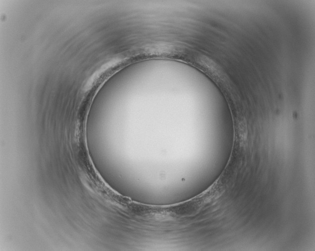 X0000056330583200509092330