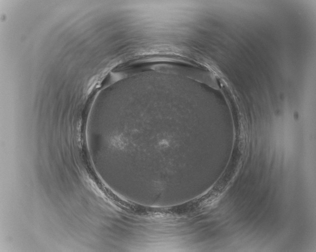 X0000056330585200509092330