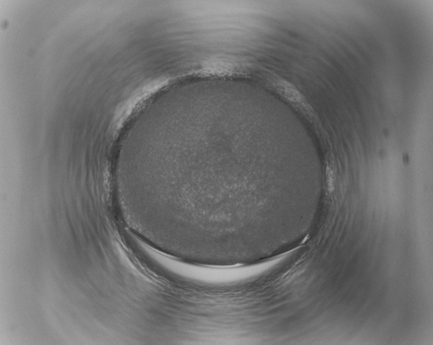 X0000056330588200509092330