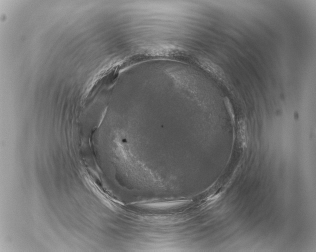 X0000056330589200509092330