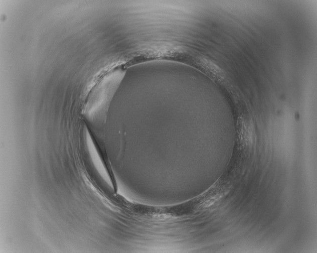 X0000056330590200509092330