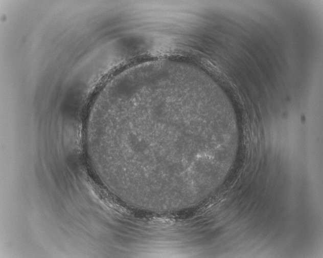 X0000056330592200509092330