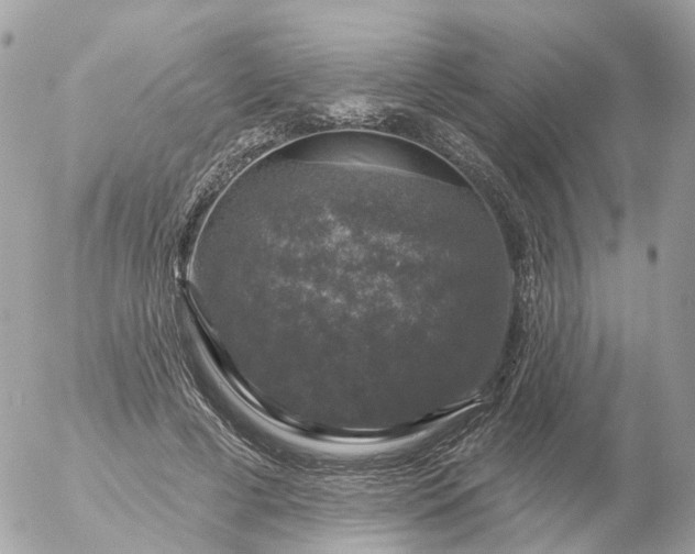 X0000056330593200509092330