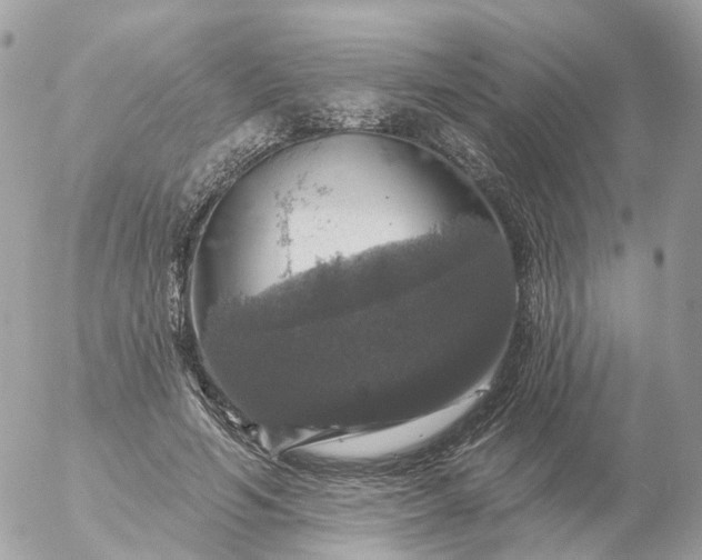 X0000056330594200509092330