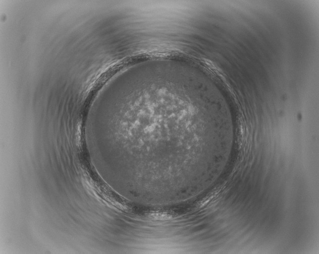 X0000056330596200509092330