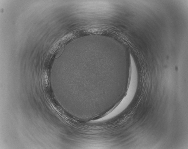 X0000056330597200509092330