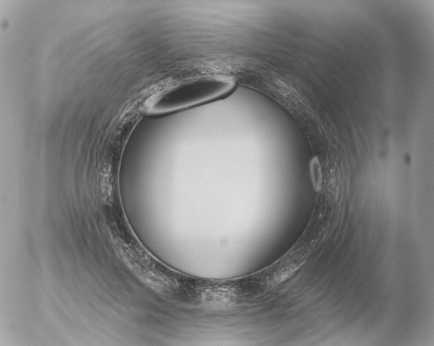 X0000056330599200509092330