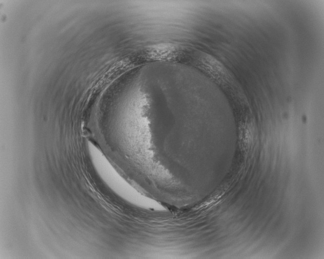 X0000056330602200509092330