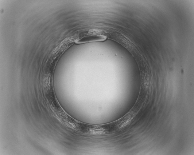 X0000056330603200509092330