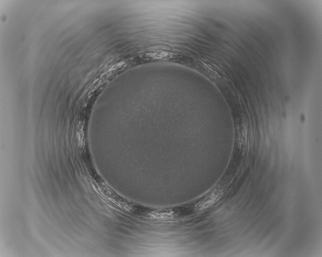 X0000056330606200509092330