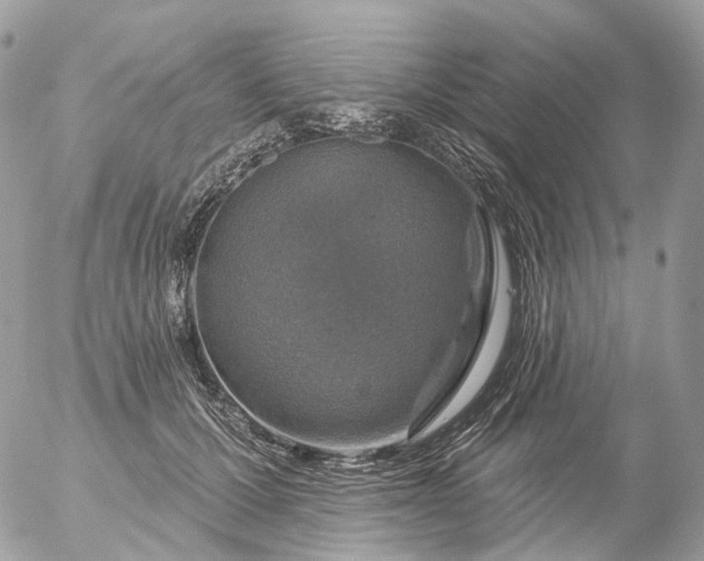 X0000056330607200509092330