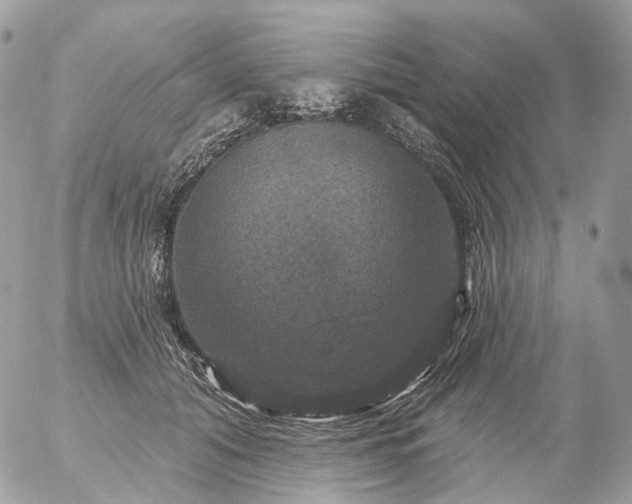 X0000056330608200509092330