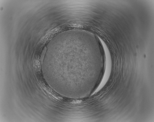 X0000056330609200509092330