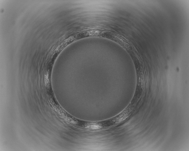 X0000056330610200509092330