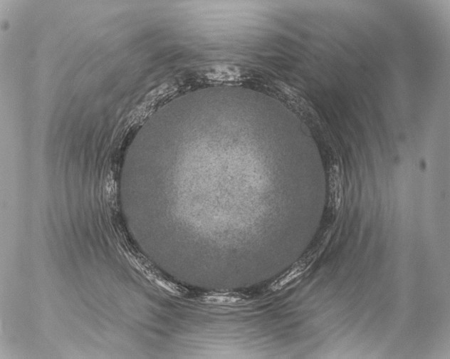 X0000056330614200509092330