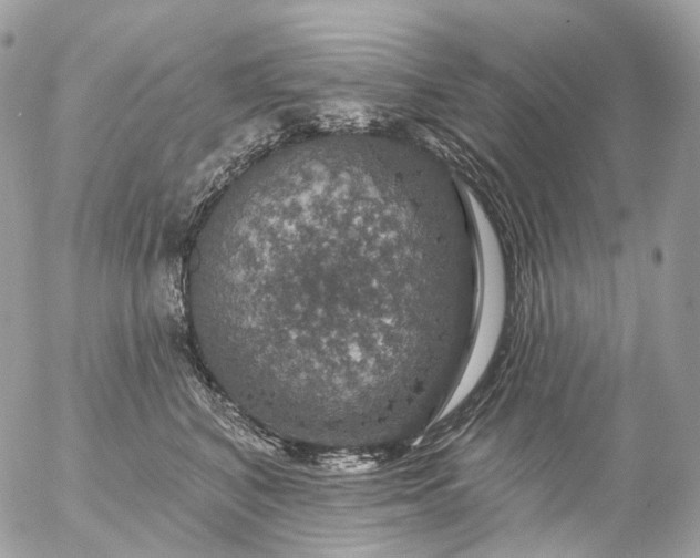 X0000056330616200509092330